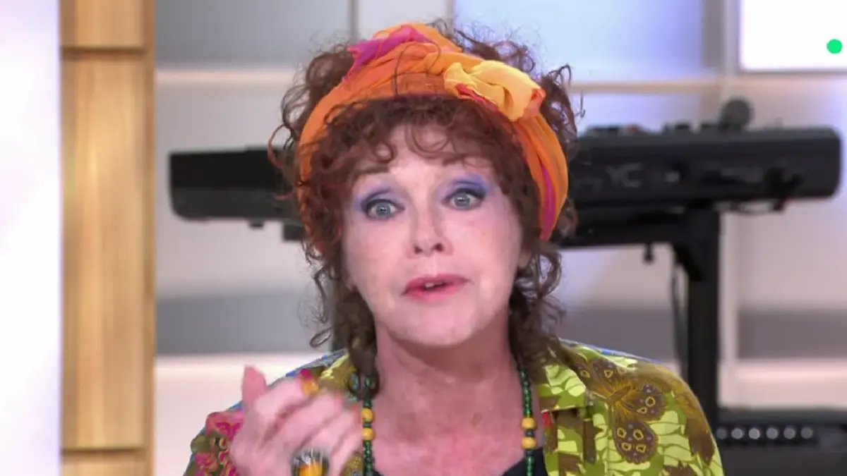 anny duperey c a vous